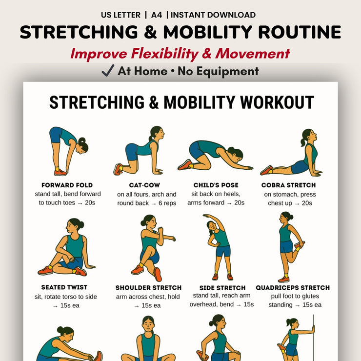 Stretching & Mobility Workout – Full Body Routine PDF – VitaFlow Studio
