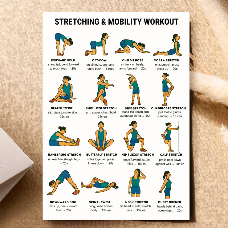 Mobility Routine Chart.pdf Stretching & Mobility Workout – Full Body Routine PDF – VitaFlow Studio