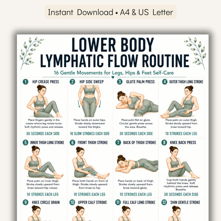 Lymphatic System Routine Pdf Lower Body Lymphatic Flow Routine Printable PDF – VitaFlow Studio