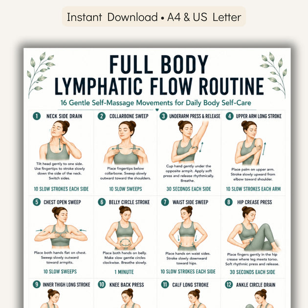 Lymphatic System Routine Pdf Full Body Lymphatic Flow Routine Printable PDF – VitaFlow Studio