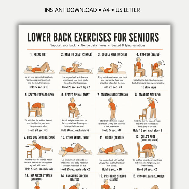 Lower Back Exercises Seniors PDF | 16 Gentle Spine Moves – VitaFlow Studio