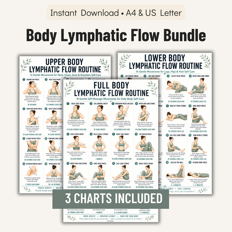 Body Lymphatic Flow Bundle 3 Printable PDF Charts – VitaFlow Studio