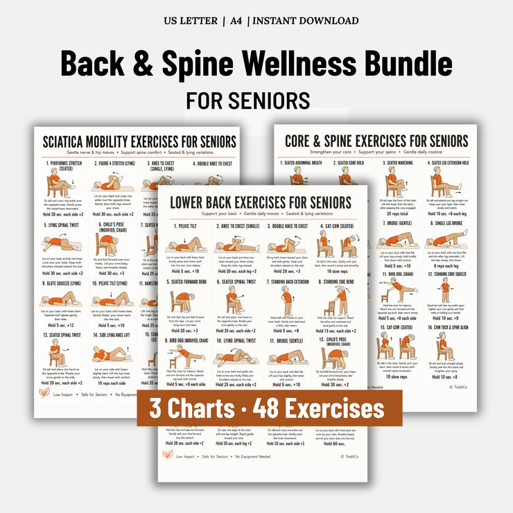 Back & Spine Bundle Seniors PDF | Lower Back, Sciatica, Core – VitaFlow ...