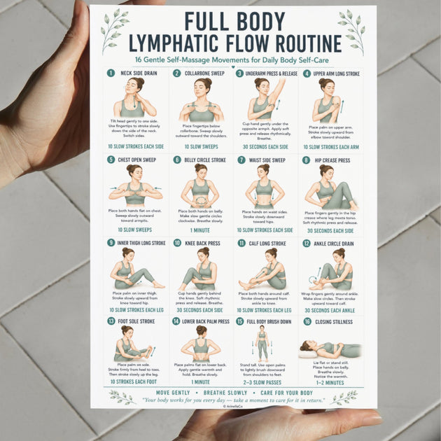 Lymphatic System Routine Pdf Full Body Lymphatic Flow Routine Printable PDF – VitaFlow Studio