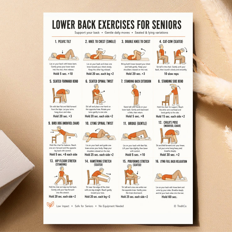 Lower Back Exercises Seniors PDF | 16 Gentle Spine Moves – VitaFlow Studio