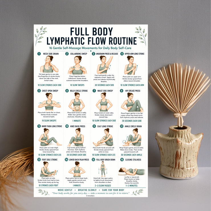 Lymphatic System Routine Pdf Full Body Lymphatic Flow Routine Printable PDF – VitaFlow Studio